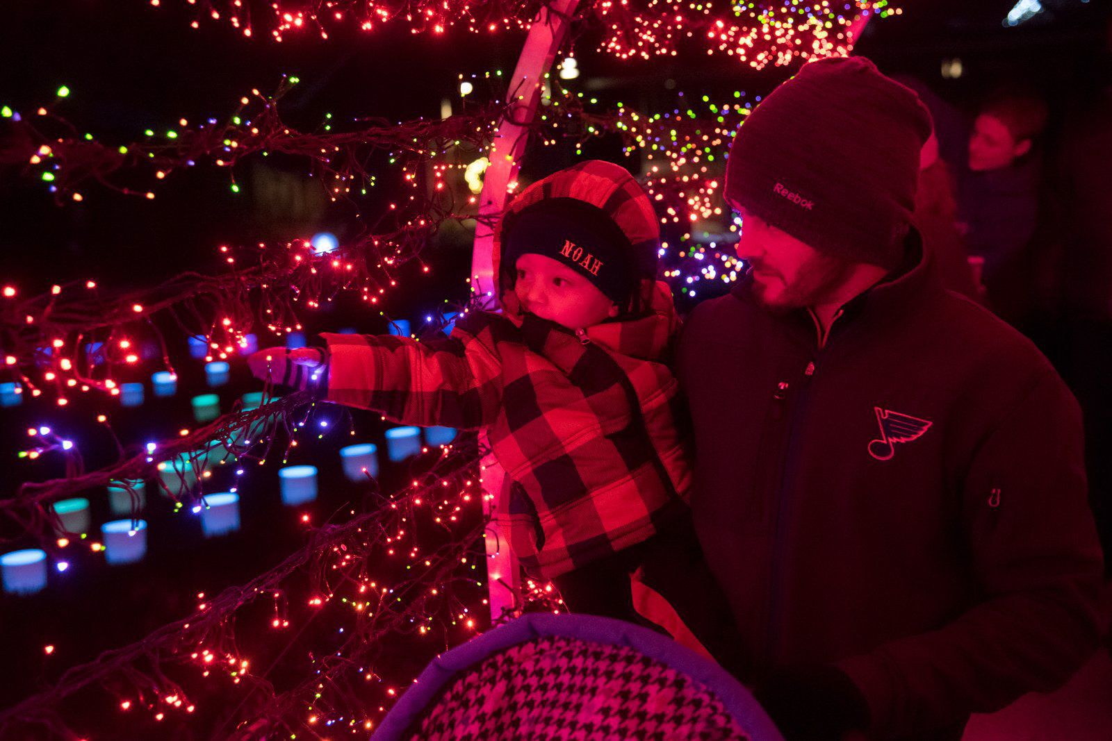 Garden Glow at Missouri Botanical Garden
